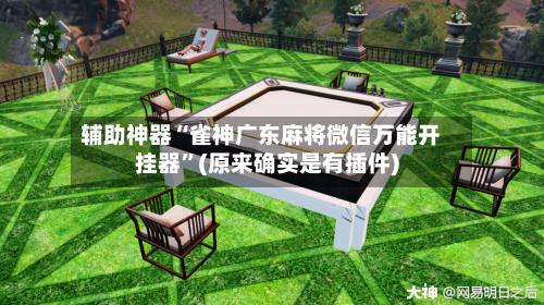 辅助神器“雀神广东麻将微信万能开挂器”(原来确实是有插件)