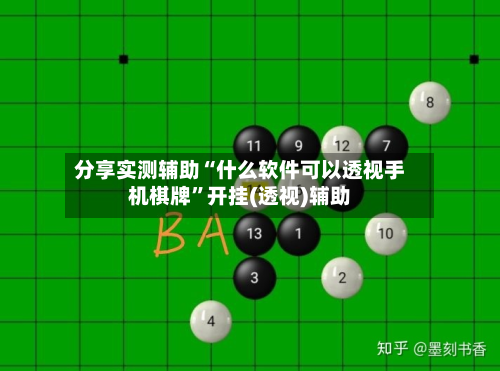 分享实测辅助“什么软件可以透视手机棋牌	”开挂(透视)辅助-第2张图片