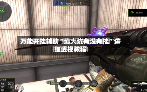 万能开挂辅助“填大坑有没有挂”详细透视教程-第2张图片