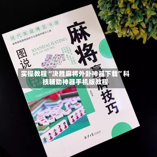 实操教程“决胜麻将外卦神器下载”科技辅助神器手机版教程-第3张图片