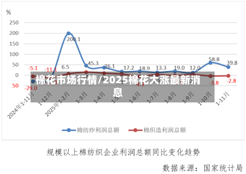 棉花市场行情/2025棉花大涨最新消息-第3张图片