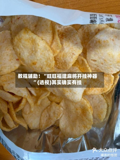 教程辅助！“旺旺福建麻将开挂神器”(透视)其实确实有挂-第3张图片