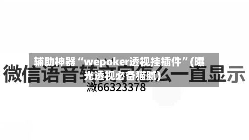 辅助神器“wepoker透视挂插件”(曝光透视必备猫腻)-第2张图片