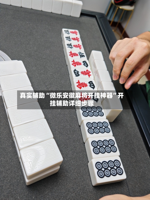 真实辅助“微乐安徽麻将开挂神器”开挂辅助详细步骤-第3张图片
