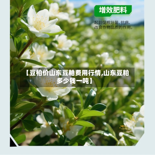 【豆柏价山东豆粕费用行情,山东豆粕多少钱一吨】-第3张图片