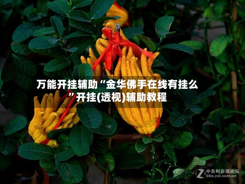 万能开挂辅助“金华佛手在线有挂么	”开挂(透视)辅助教程-第2张图片