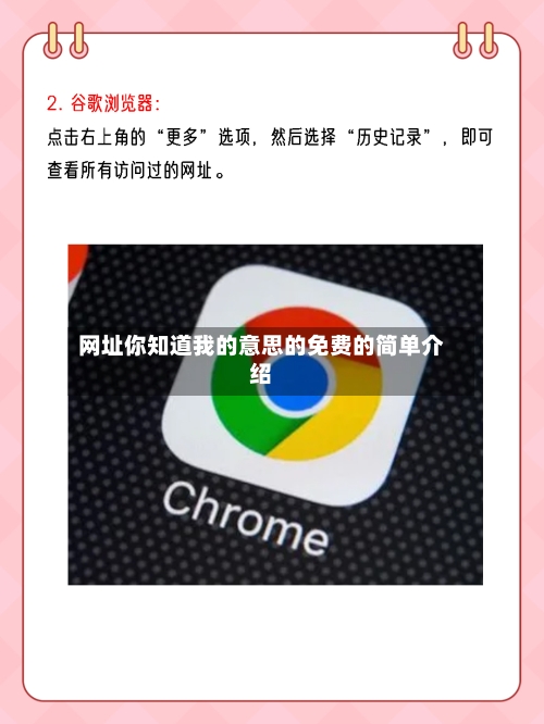 网址你知道我的意思的免费的简单介绍