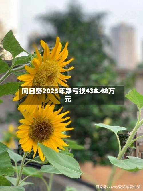 向日葵2025年净亏损438.48万元-第3张图片