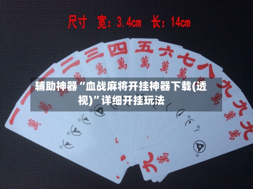 辅助神器“血战麻将开挂神器下载(透视)”详细开挂玩法-第2张图片