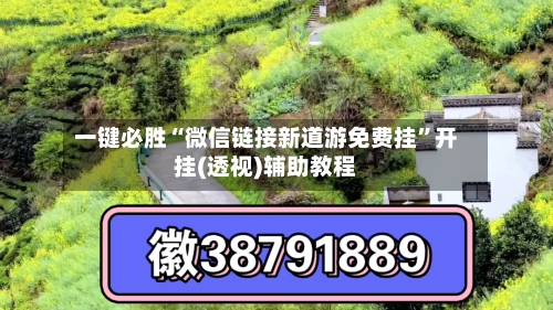 一键必胜“微信链接新道游免费挂”开挂(透视)辅助教程-第3张图片
