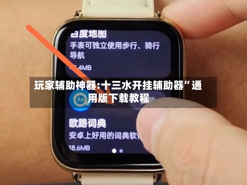 玩家辅助神器:十三水开挂辅助器”通用版下载教程-第2张图片