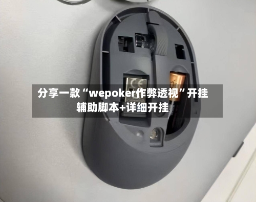 分享一款“wepoker作弊透视”开挂辅助脚本+详细开挂-第2张图片