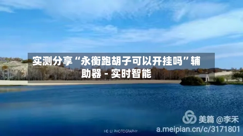 实测分享“永衡跑胡子可以开挂吗	”辅助器 - 实时智能-第2张图片