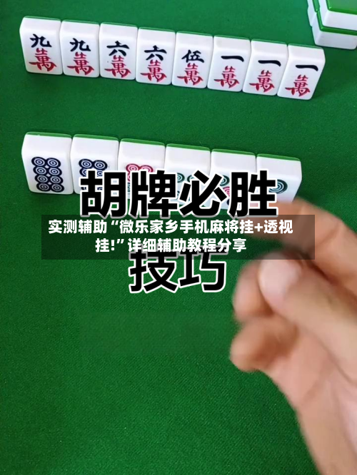 实测辅助“微乐家乡手机麻将挂+透视挂!”详细辅助教程分享-第3张图片