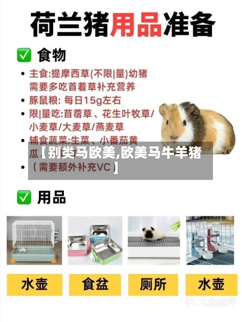 【别类马欧美,欧美马牛羊猪】