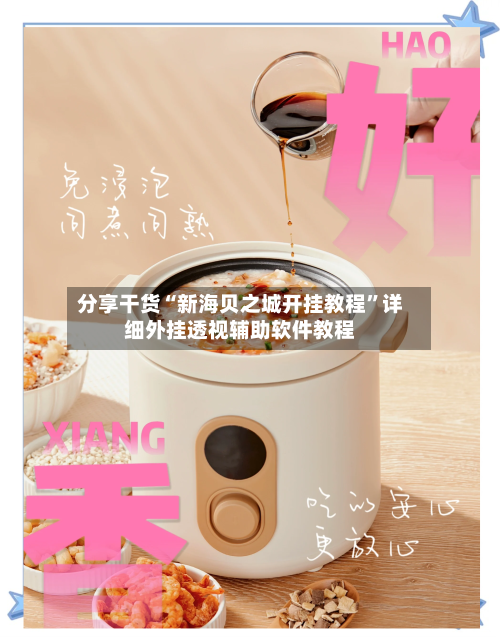 分享干货“新海贝之城开挂教程”详细外挂透视辅助软件教程-第2张图片