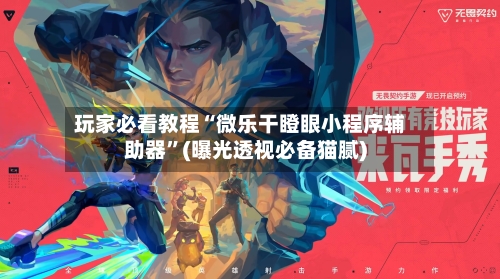 玩家必看教程“微乐干瞪眼小程序辅助器”(曝光透视必备猫腻)-第3张图片