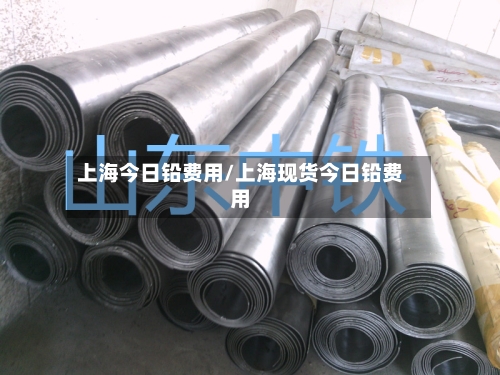上海今日铅费用/上海现货今日铅费用