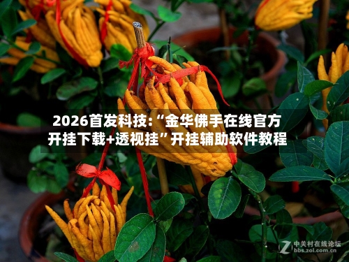 2026首发科技:“金华佛手在线官方开挂下载+透视挂”开挂辅助软件教程