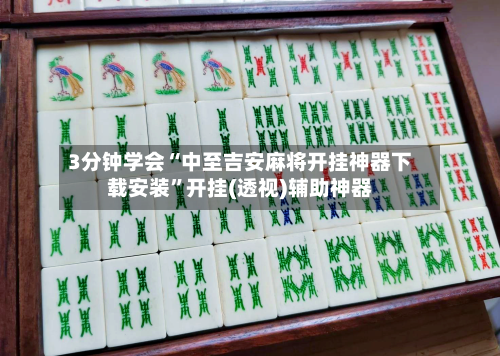 3分钟学会“中至吉安麻将开挂神器下载安装”开挂(透视)辅助神器-第3张图片