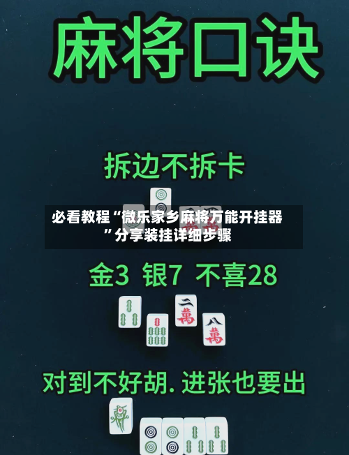 必看教程“微乐家乡麻将万能开挂器”分享装挂详细步骤-第2张图片