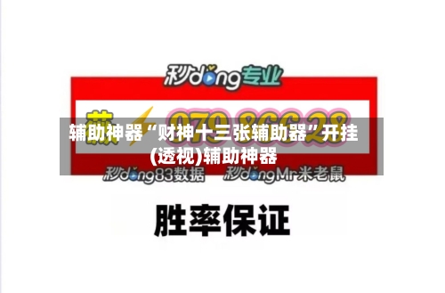 辅助神器“财神十三张辅助器	”开挂(透视)辅助神器-第2张图片