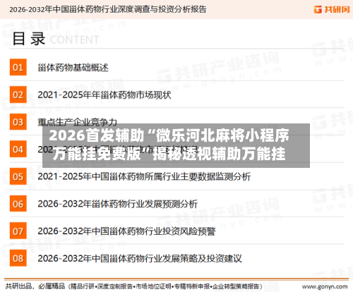2026首发辅助“微乐河北麻将小程序万能挂免费版”揭秘透视辅助万能挂