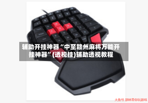 辅助开挂神器“中至赣州麻将万能开挂神器”(透视挂)辅助透视教程-第2张图片