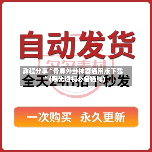 教程分享“骨牌外卦神器通用版下载”(曝光透视必备猫腻)-第2张图片