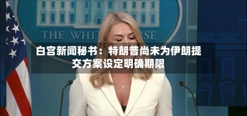 白宫新闻秘书：特朗普尚未为伊朗提交方案设定明确期限-第3张图片