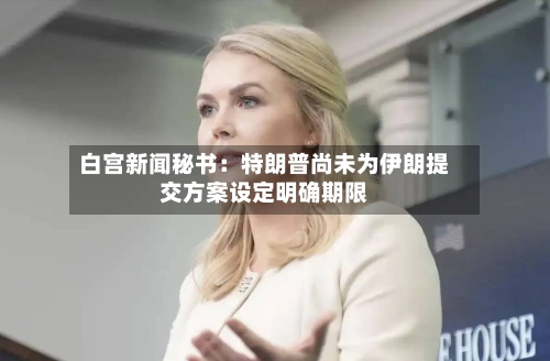 白宫新闻秘书：特朗普尚未为伊朗提交方案设定明确期限-第2张图片