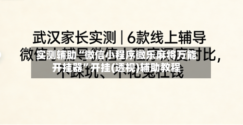 实测辅助“微信小程序微乐麻将万能开挂器”开挂(透视)辅助教程-第3张图片