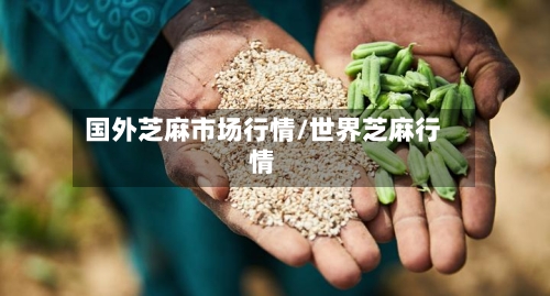 国外芝麻市场行情/世界芝麻行情-第3张图片