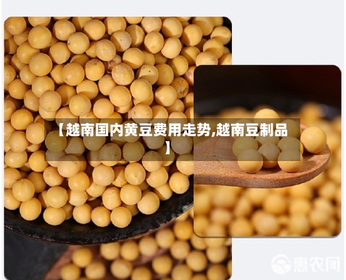 【越南国内黄豆费用走势,越南豆制品】