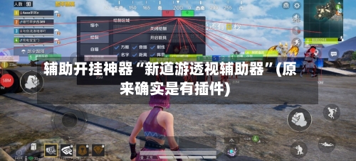 辅助开挂神器“新道游透视辅助器”(原来确实是有插件)-第2张图片