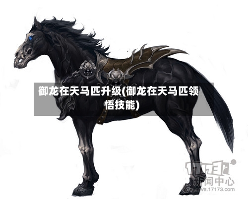 御龙在天马匹升级(御龙在天马匹领悟技能)