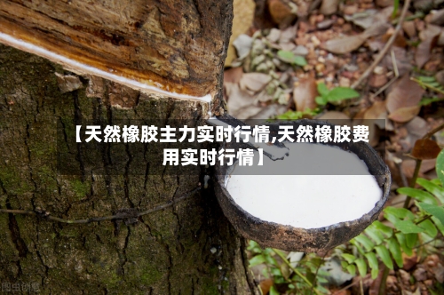 【天然橡胶主力实时行情,天然橡胶费用实时行情】-第3张图片