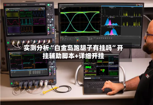 实测分析“白金岛跑胡子有挂吗”开挂辅助脚本+详细开挂-第3张图片
