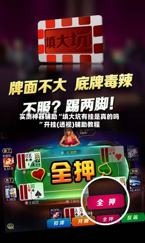 实测神器辅助“填大坑有挂是真的吗”开挂(透视)辅助教程-第3张图片