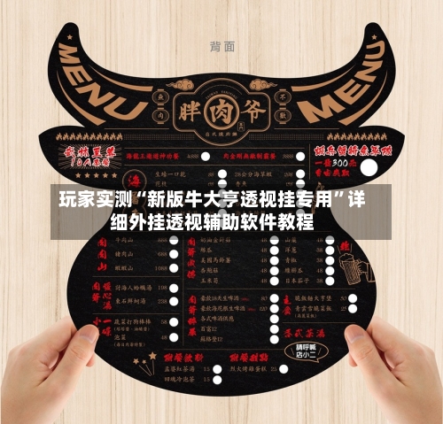 玩家实测“新版牛大亨透视挂专用”详细外挂透视辅助软件教程-第3张图片