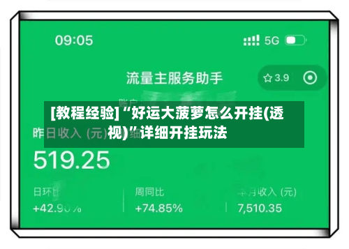 [教程经验]“好运大菠萝怎么开挂(透视)”详细开挂玩法-第2张图片