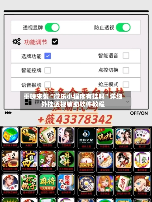 重磅来袭“微乐小程序有挂吗”详细外挂透视辅助软件教程-第2张图片