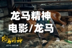 龙马精神电影/龙马精神电影在线观看