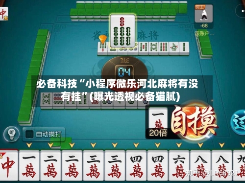 必备科技“小程序微乐河北麻将有没有挂”(曝光透视必备猫腻)-第2张图片