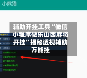 辅助开挂工具“微信小程序微乐山西麻将开挂”揭秘透视辅助万能挂-第3张图片