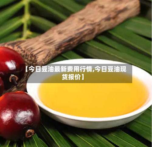【今日豆油最新费用行情,今日豆油现货报价】