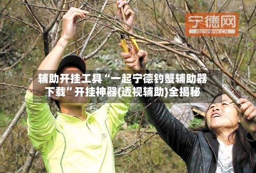 辅助开挂工具“一起宁德钓蟹辅助器下载	”开挂神器{透视辅助}全揭秘-第2张图片