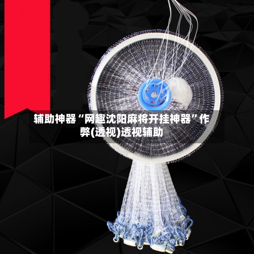 辅助神器“网趣沈阳麻将开挂神器”作弊(透视)透视辅助-第3张图片