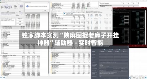 独家脚本实测“陕麻圈捉老麻子开挂神器”辅助器 - 实时智能-第2张图片