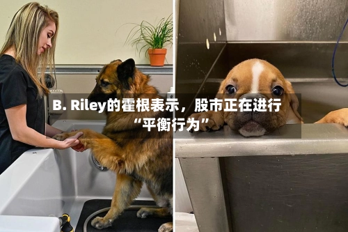 B. Riley的霍根表示，股市正在进行“平衡行为”-第2张图片